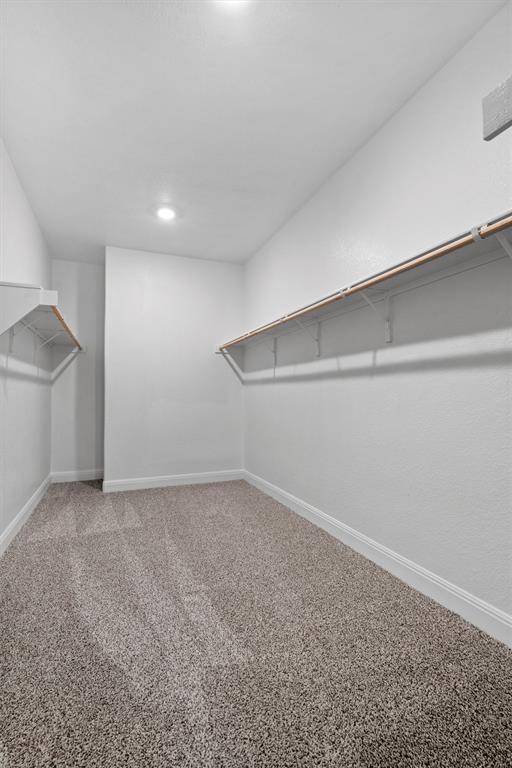 Building Photo - 16508 Coratina Dr