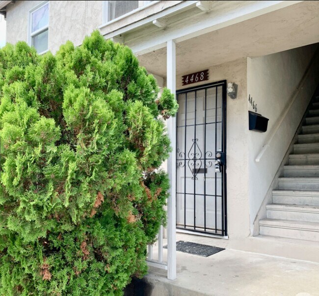 Primary Photo - North Park Downstairs One Bedroom Apartmen...