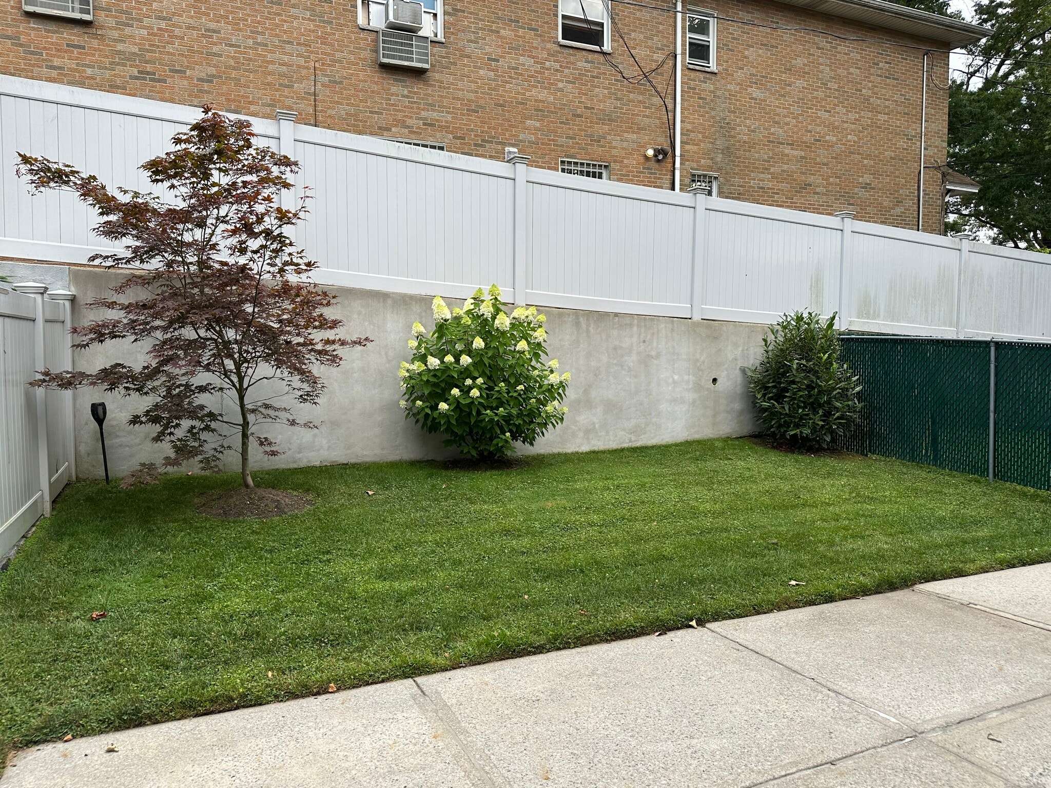 Backyard with Patio - 1843 Clintonville St