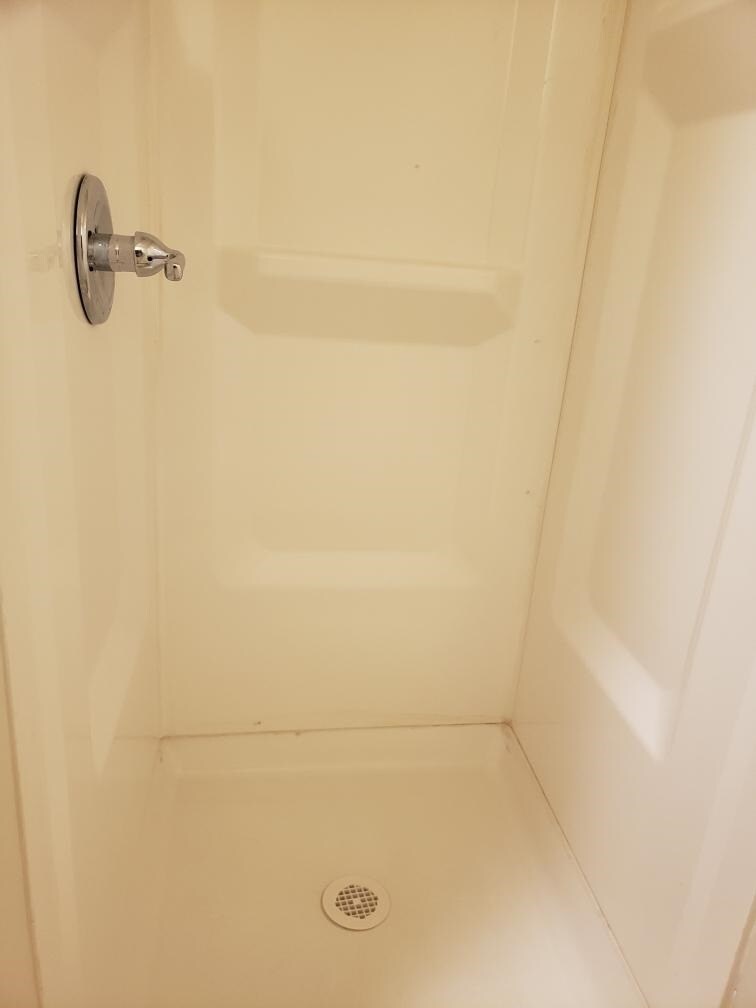 Shower - 206 Campbell St