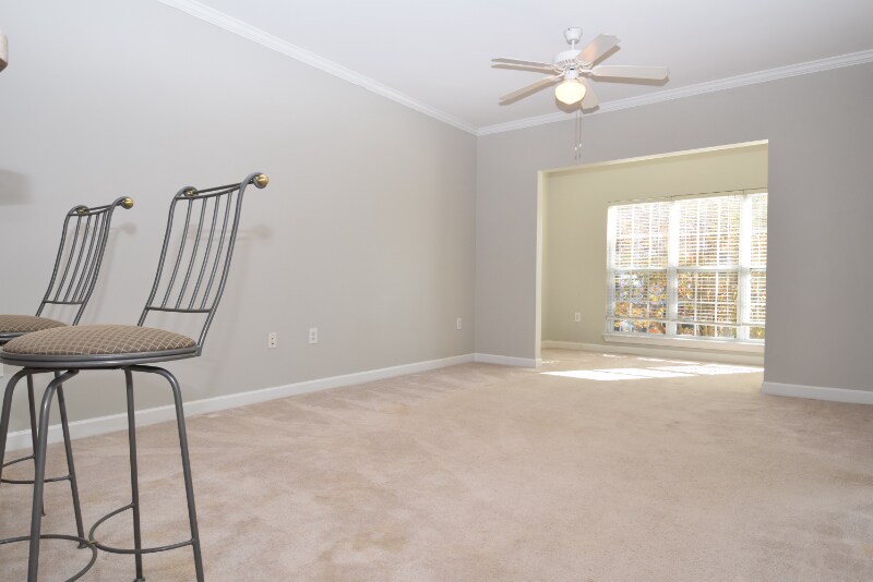 Building Photo - 2807 Bloomfield Ln