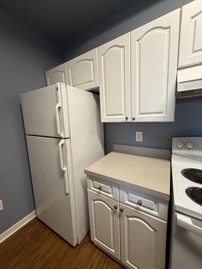 Building Photo - Newly painted Two Bedroom, Two Bathroom For Rent in New Tampa