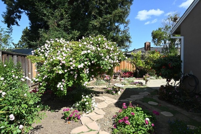 Building Photo - Beautiful home with AC in PRIME Santa Clara location - 3 bd / 2 bath coming soon!