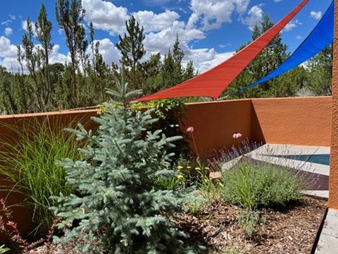 Building Photo - 1340 Avenida Rincon