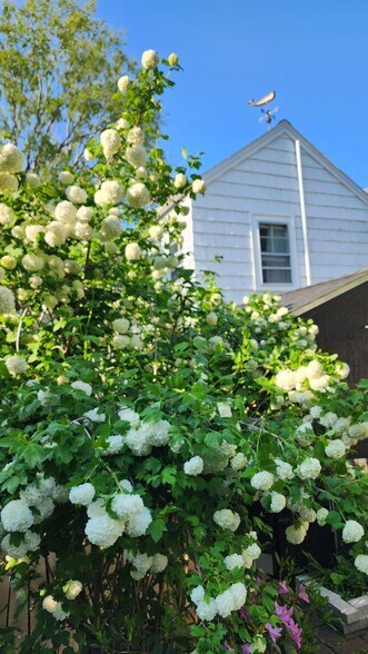 Building Photo - 30 Main St