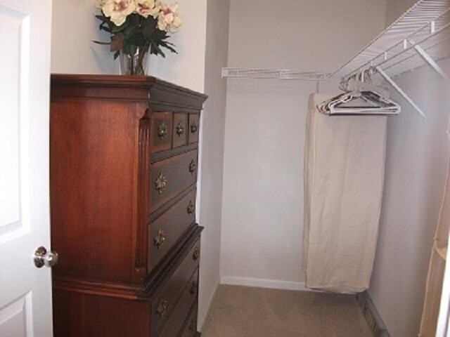 Building Photo - 1005 Bella Vista Blvd