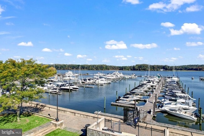 Building Photo - 562 Marina Landing Ln