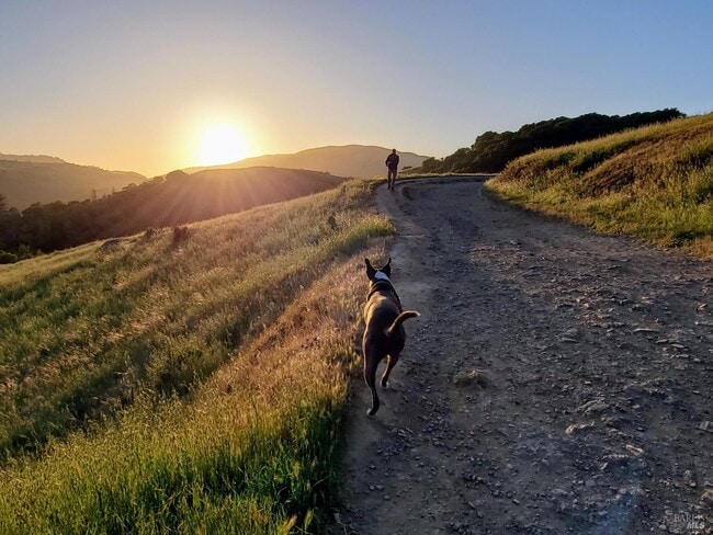 Building Photo - 700 Tamarack Dr