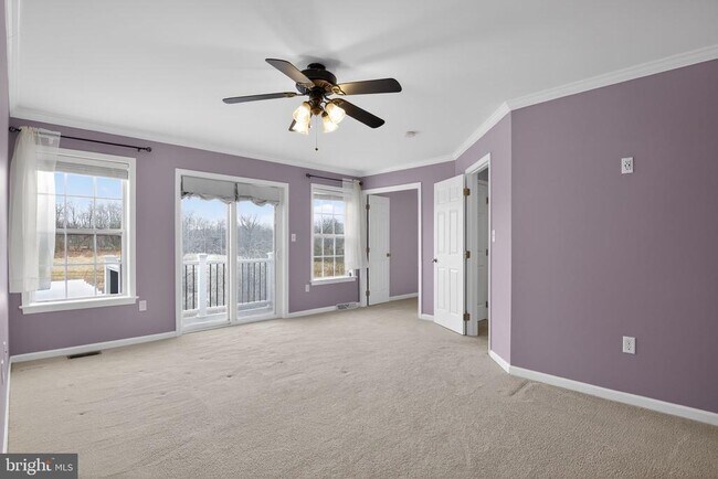 Building Photo - 10 Nelson Rd