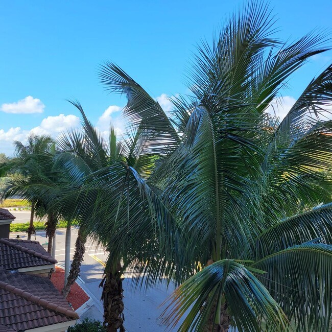 Building Photo - Annual unfurnished luxury 3/2 condo downtown Sarasota overlooking a park!