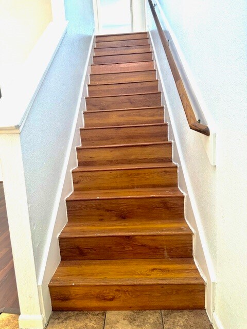 Building Photo - 2946 Paddock Brook Ln