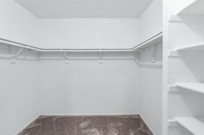 Building Photo - 4235 Iriona Bend