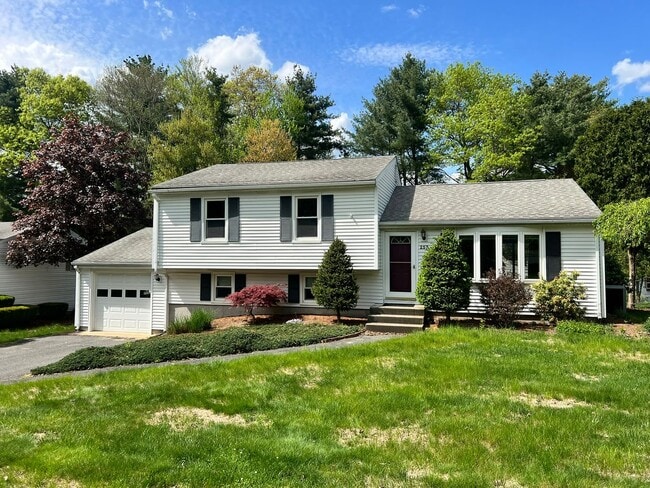 Primary Photo - Single Family, Raised Ranch With Many Upda...