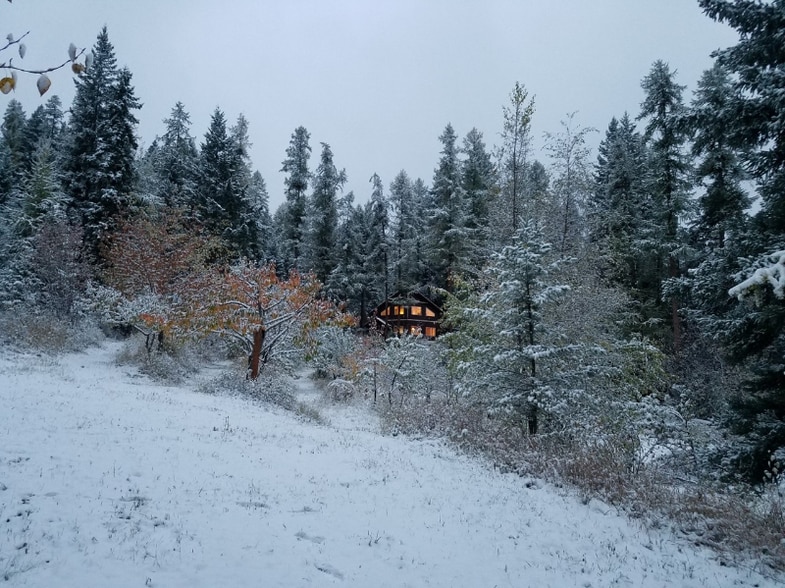Building Photo - 42062 Big Lodge Ln