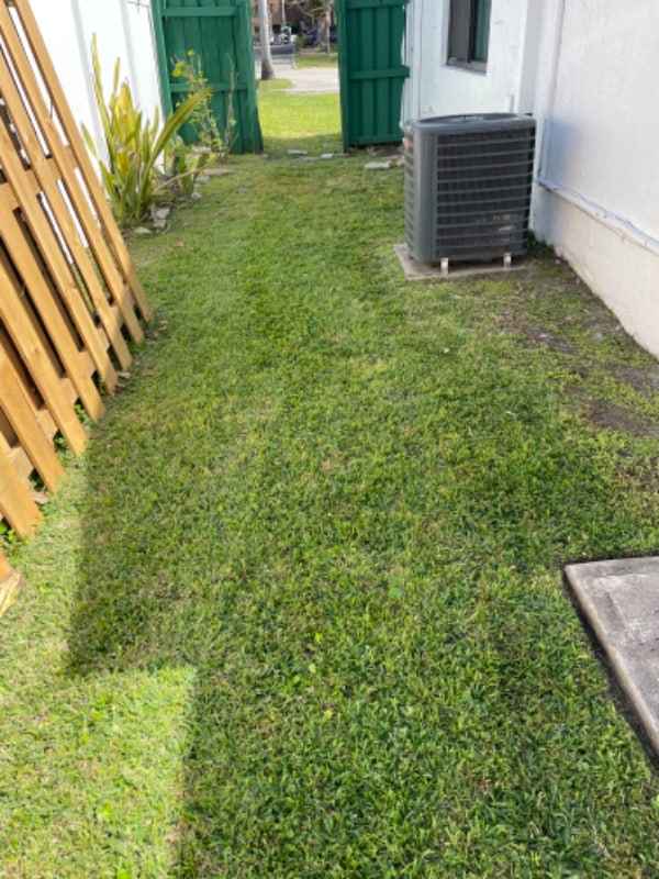 Building Photo - 2126 N 14th Ave