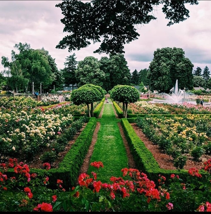 Peninsula Park 1 block away - 555 N Simpson St