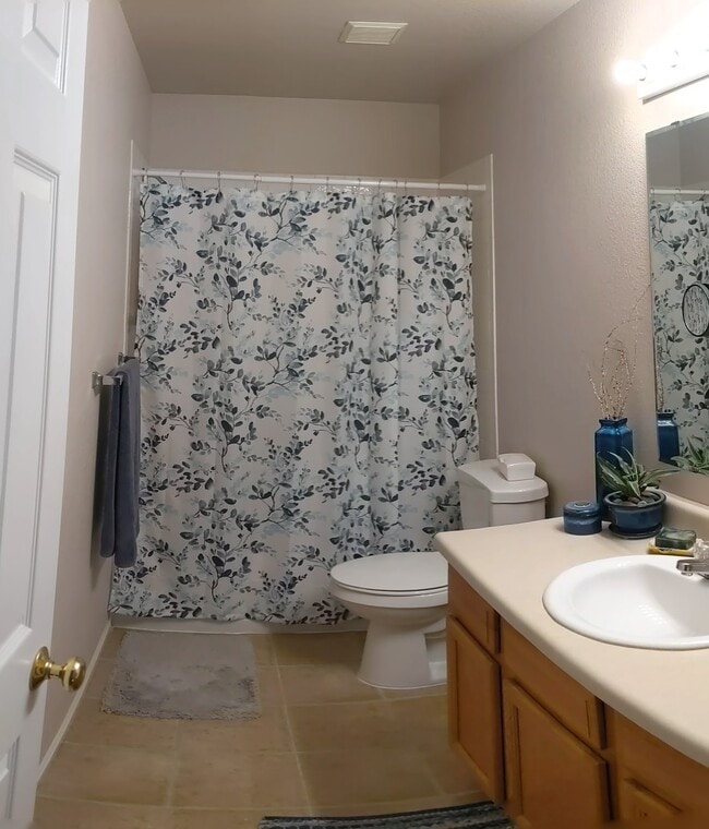 Main bath - 4508 Springer Ct