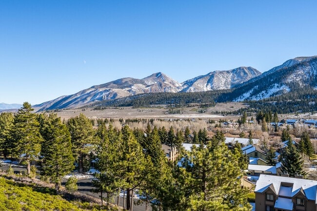 Building Photo - Mountain View Haven