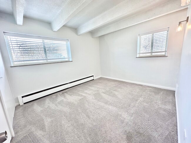 Bright and spacious empty room with large windows, plush carpet, and modern light fixture. - Columbine Plaza