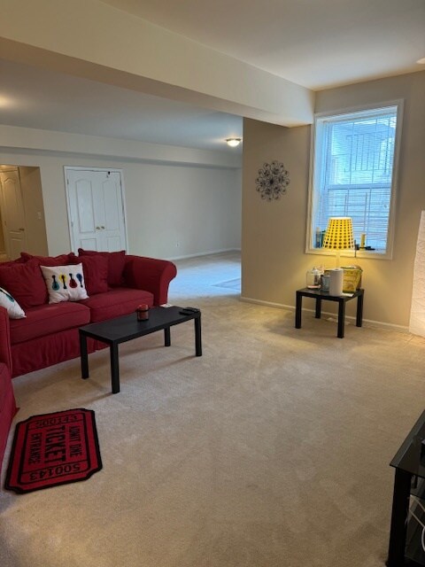 Living Room area - 15405 Stacys Ridge Ct