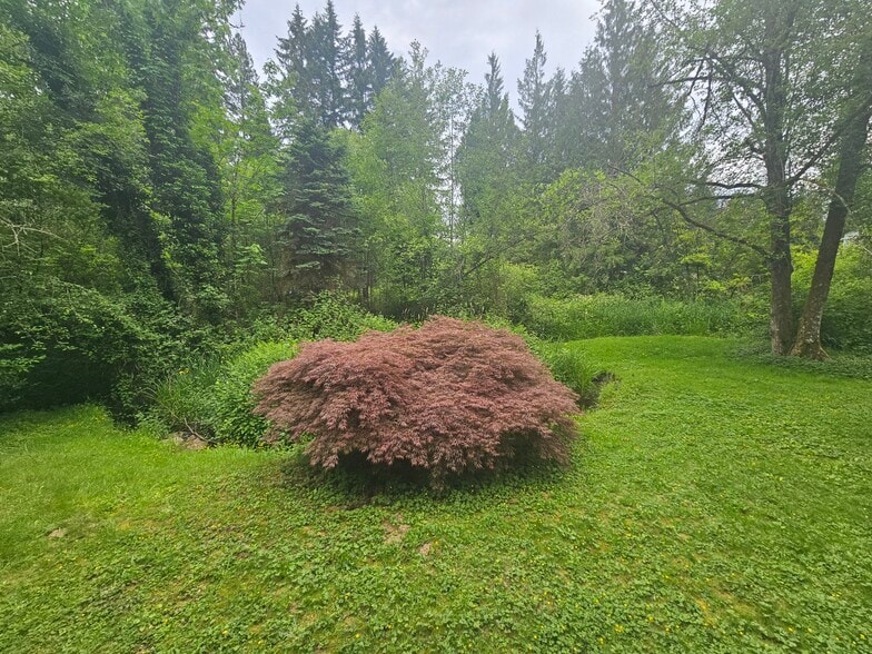 Backyard - 19845 NE 133rd St