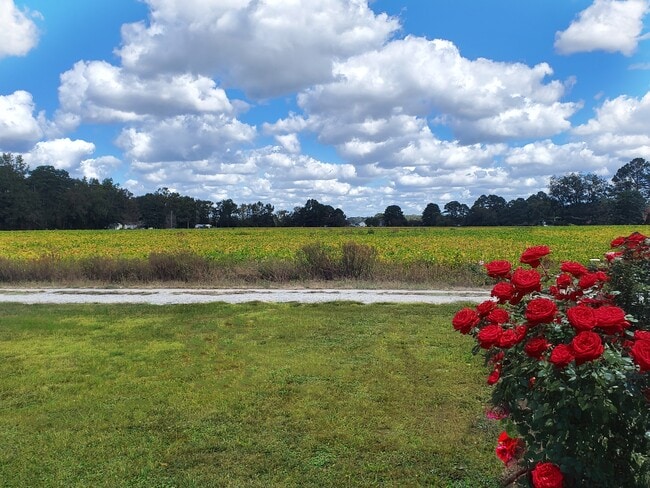 Building Photo - 2379 US Hwy 13 S