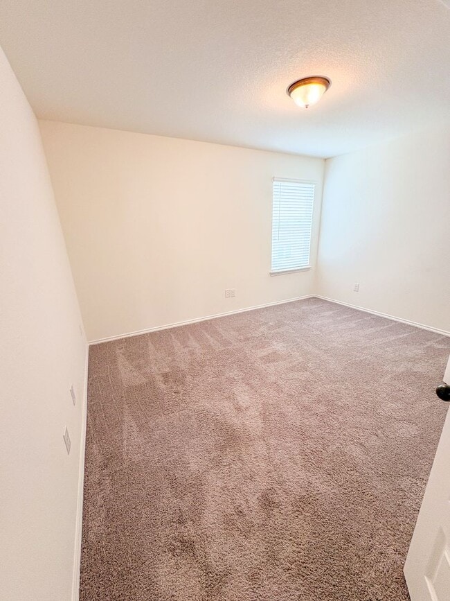Building Photo - 229 Barbary Coast Ln