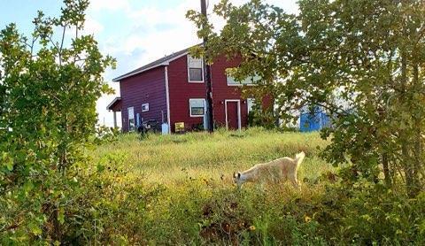 Building Photo - 143 Spring Hollow Trail