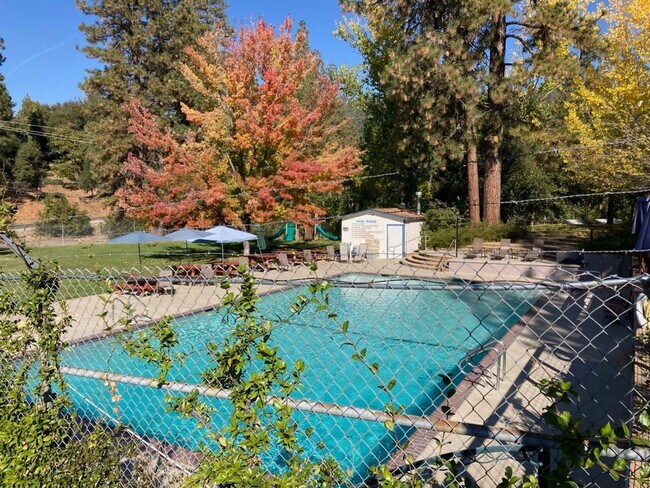 Building Photo - Charming 3-Bedroom Retreat with Modern Updates and Scenic Views in Ponderosa Hills