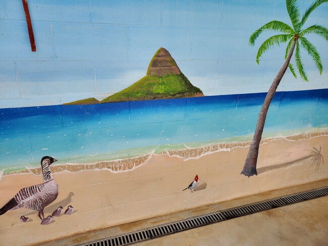 Numerous murals of nature and the ocean life from a local artist who was inspired by Kaneohe life. - 45-217 Lilipuna Rd