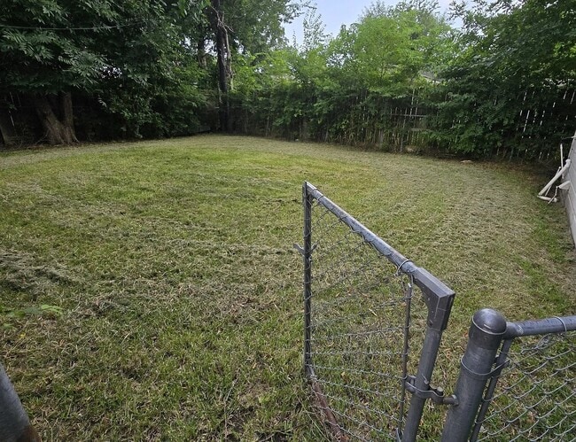 Building Photo - 215 Park St