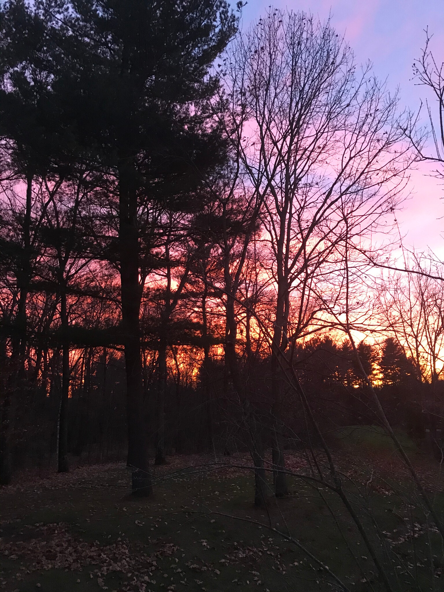 Outdoor View - 7707 Mykolaitis Ln