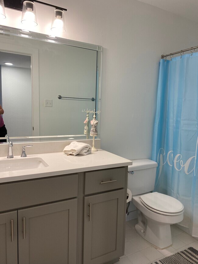 Guest bath - 846 Thistledown Dr
