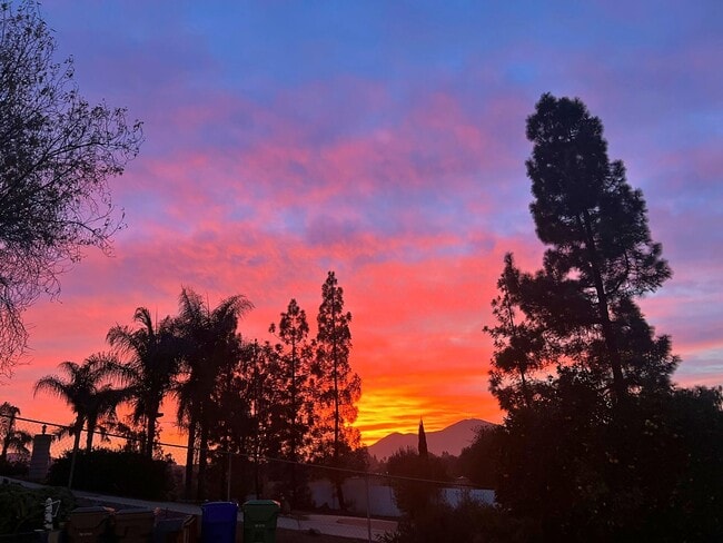 Building Photo - Peaceful Country Living in Jamul