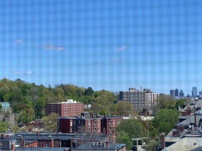 Building Photo - 1731 Beacon St