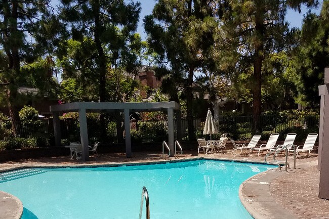 swimming pool area - 4541 Alla Rd