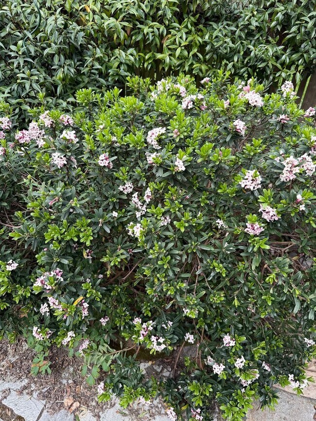 Building Photo - The Perfect Restored University Heights Home -available for rent now!