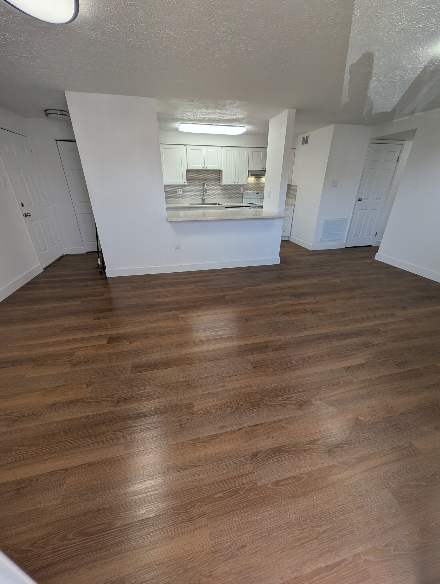 Open plan area - 19609 Gunners Branch Rd