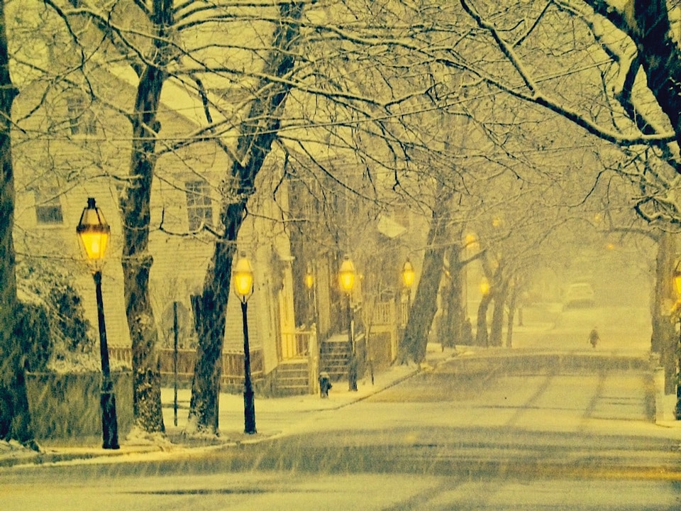 Building Photo - 47 Sheldon St