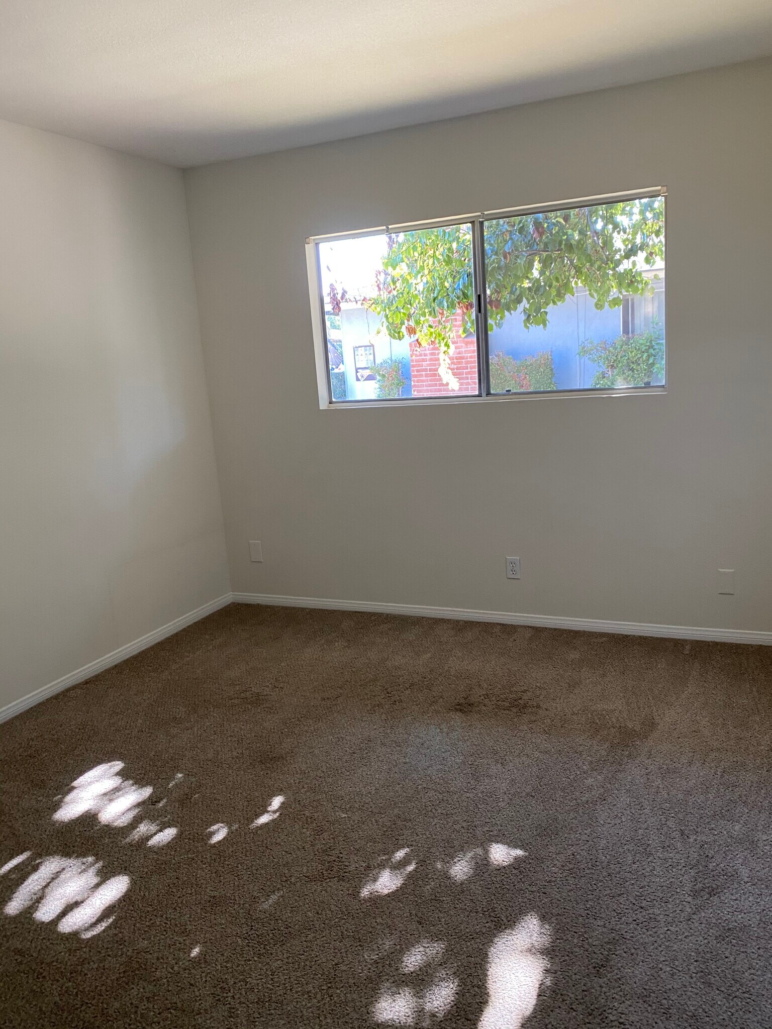 Building Photo - 1580 Caraway Dr