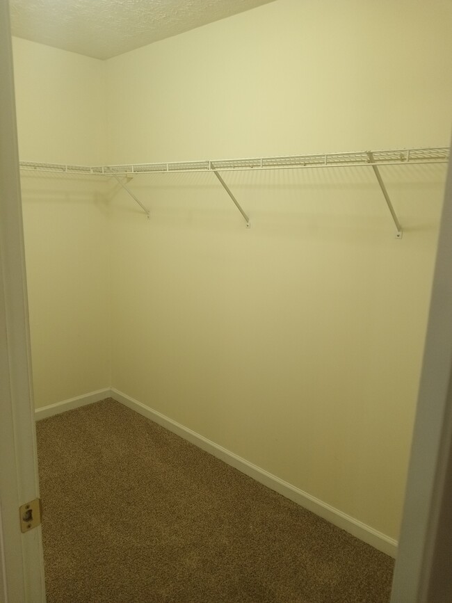 Building Photo - 685 Georgetown Ln