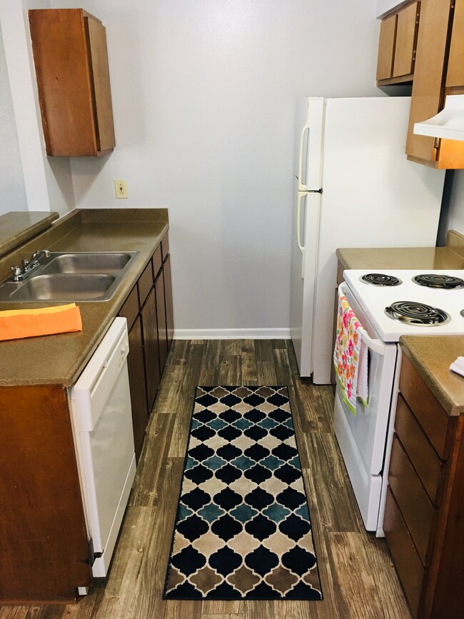 file1 - Copy.jpeg - The Bella Apartments