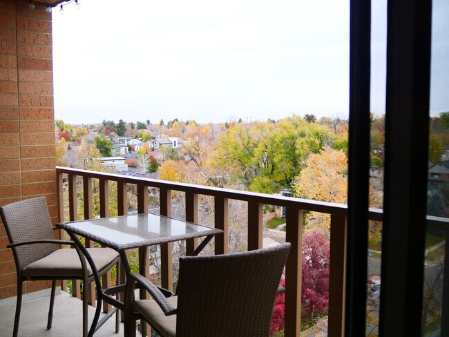 Unobstructed Views - 400 S Lafayette St