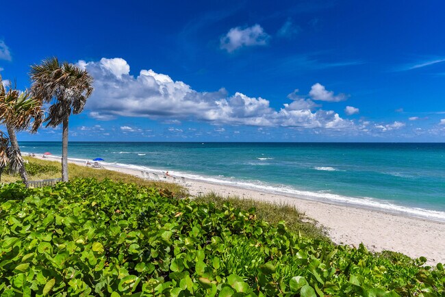 Building Photo - 485 E Royal Palm Rd