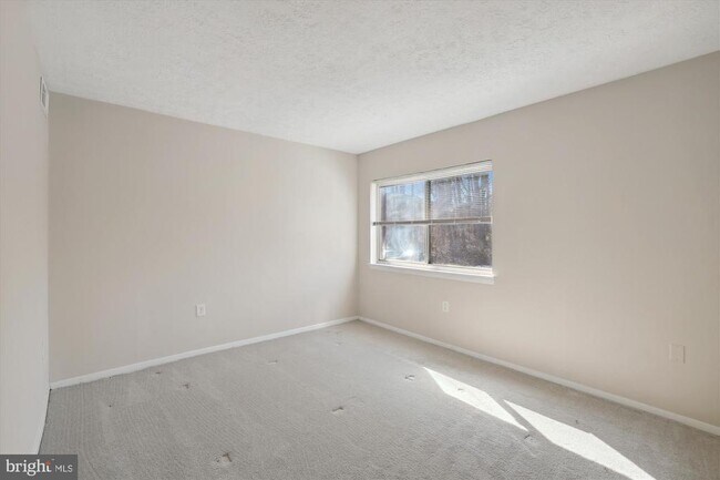 Building Photo - 12305 Braxfield Ct