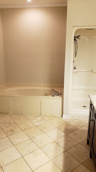 Master bedroom whirlpool - 24985 Capshaw Rd