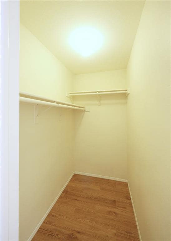Building Photo - 8005 Tantara Ct