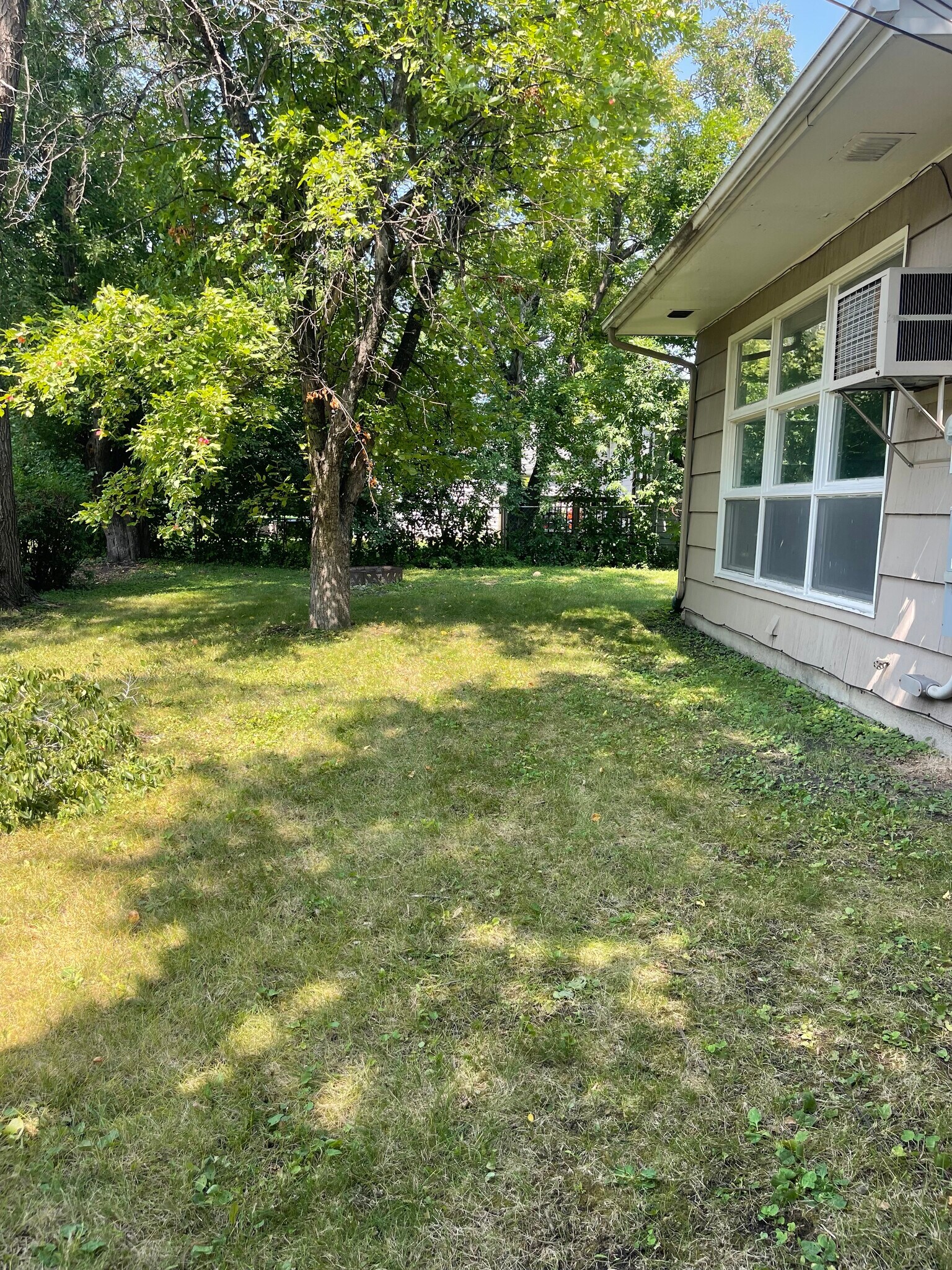 Back yard - 1305 5th St S