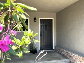 Building Photo - Terra Linda Home