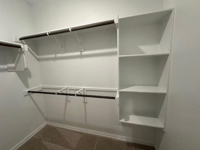 Building Photo - 3205 Kiskadee Ct